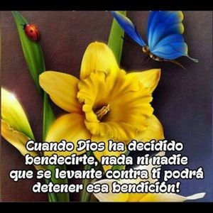 Meet your Posher, Alsina